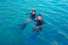 Philippe et Fred